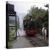 Number 4 Engine at the Dolgoch Falls Stop on the The Talyllyn Railway, Snowdonia, Wales, 1969-Michael Walters-Stretched Canvas