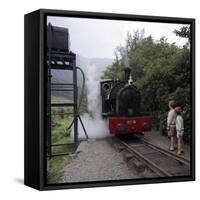 Number 4 Engine at the Dolgoch Falls Stop on the The Talyllyn Railway, Snowdonia, Wales, 1969-Michael Walters-Framed Stretched Canvas