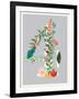 Number 4-Kindred Sol Collective-Framed Art Print