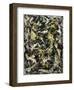 Number 5, 1950, 1950-Jackson Pollock-Framed Art Print