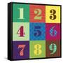 Numbercolors-Ali Lynne-Framed Stretched Canvas