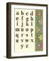 Numbers and Letters-null-Framed Art Print