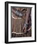 Numerous Decorated Iron Bracelets Worn by a Datoga Woman, Tanzania-Nigel Pavitt-Framed Premium Photographic Print