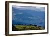 Nuns Gather Juniper from the High Mountains In, Bhutan (Photo)-null-Framed Giclee Print