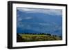 Nuns Gather Juniper from the High Mountains In, Bhutan (Photo)-null-Framed Giclee Print