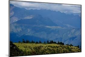 Nuns Gather Juniper from the High Mountains In, Bhutan (Photo)-null-Mounted Giclee Print