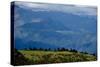 Nuns Gather Juniper from the High Mountains In, Bhutan (Photo)-null-Stretched Canvas