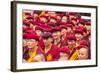 Nuns, Hemis Monastery, Indus Valley, Ladakh, India-Peter Adams-Framed Photographic Print