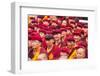 Nuns, Hemis Monastery, Indus Valley, Ladakh, India-Peter Adams-Framed Photographic Print