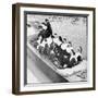 Nuns in Boat-null-Framed Photographic Print