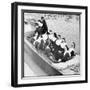 Nuns in Boat-null-Framed Photographic Print