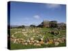 Nuraghe Arrubiu, Sardinia, Italy, Europe-Oliviero Olivieri-Stretched Canvas