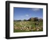 Nuraghe Arrubiu, Sardinia, Italy, Europe-Oliviero Olivieri-Framed Photographic Print