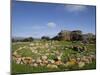 Nuraghe Arrubiu, Sardinia, Italy, Europe-Oliviero Olivieri-Mounted Photographic Print