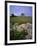 Nuraghe (Nuraghi), Sardinia, Italy, Europe-Oliviero Olivieri-Framed Photographic Print