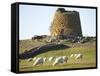 Nuraghe Succurronis, Macomer, Sardinia, Italy, Europe-Oliviero Olivieri-Framed Stretched Canvas