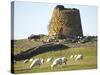 Nuraghe Succurronis, Macomer, Sardinia, Italy, Europe-Oliviero Olivieri-Stretched Canvas