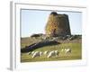 Nuraghe Succurronis, Macomer, Sardinia, Italy, Europe-Oliviero Olivieri-Framed Photographic Print