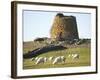 Nuraghe Succurronis, Macomer, Sardinia, Italy, Europe-Oliviero Olivieri-Framed Photographic Print