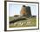 Nuraghe Succurronis, Macomer, Sardinia, Italy, Europe-Oliviero Olivieri-Framed Photographic Print