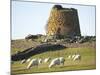 Nuraghe Succurronis, Macomer, Sardinia, Italy, Europe-Oliviero Olivieri-Mounted Photographic Print