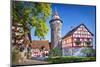 Nuremberg Castle in Nuremberg, Germany.-SeanPavonePhoto-Mounted Photographic Print