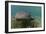 Nurse Shark over Turtle Grass. Lighthouse Reef, Atoll. Belize Barrier Reef. Belize-Pete Oxford-Framed Photographic Print