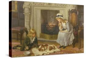 Nursing a Treasured Pet-Charles Haigh-Wood-Stretched Canvas