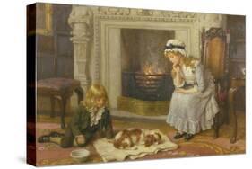 Nursing a Treasured Pet-Charles Haigh-Wood-Stretched Canvas