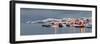 Nusfjord, Flakstadoya (Island), Lofoten, 'Nordland' (County), Norway-Rainer Mirau-Framed Photographic Print