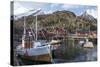 Nusfjord, Lofoten Islands, Nordland, Arctic, Norway, Scandinavia-Rolf Richardson-Stretched Canvas