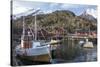 Nusfjord, Lofoten Islands, Nordland, Arctic, Norway, Scandinavia-Rolf Richardson-Stretched Canvas