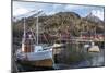 Nusfjord, Lofoten Islands, Nordland, Arctic, Norway, Scandinavia-Rolf Richardson-Mounted Photographic Print