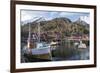 Nusfjord, Lofoten Islands, Nordland, Arctic, Norway, Scandinavia-Rolf Richardson-Framed Photographic Print