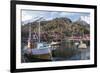 Nusfjord, Lofoten Islands, Nordland, Arctic, Norway, Scandinavia-Rolf Richardson-Framed Photographic Print