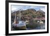 Nusfjord, Lofoten Islands, Nordland, Arctic, Norway, Scandinavia-Rolf Richardson-Framed Photographic Print