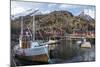 Nusfjord, Lofoten Islands, Nordland, Arctic, Norway, Scandinavia-Rolf Richardson-Mounted Photographic Print