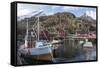 Nusfjord, Lofoten Islands, Nordland, Arctic, Norway, Scandinavia-Rolf Richardson-Framed Stretched Canvas