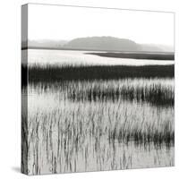 Nut Island, Salt Marsh-Dorothy Kerper Monnelly-Stretched Canvas