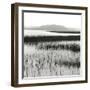 Nut Island, Salt Marsh-Dorothy Kerper Monnelly-Framed Art Print