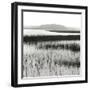 Nut Island, Salt Marsh-Dorothy Kerper Monnelly-Framed Art Print