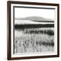 Nut Island, Salt Marsh-Dorothy Kerper Monnelly-Framed Art Print