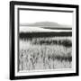 Nut Island, Salt Marsh-Dorothy Kerper Monnelly-Framed Art Print