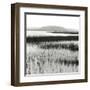 Nut Island, Salt Marsh-Dorothy Kerper Monnelly-Framed Art Print