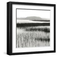 Nut Island, Salt Marsh-Dorothy Kerper Monnelly-Framed Art Print