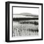 Nut Island, Salt Marsh-Dorothy Kerper Monnelly-Framed Art Print