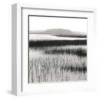 Nut Island, Salt Marsh-Dorothy Kerper Monnelly-Framed Art Print