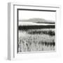 Nut Island, Salt Marsh-Dorothy Kerper Monnelly-Framed Art Print