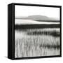 Nut Island, Salt Marsh-Dorothy Kerper Monnelly-Framed Stretched Canvas