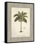 Nut Palm Illustration-Arnie Fisk-Framed Stretched Canvas